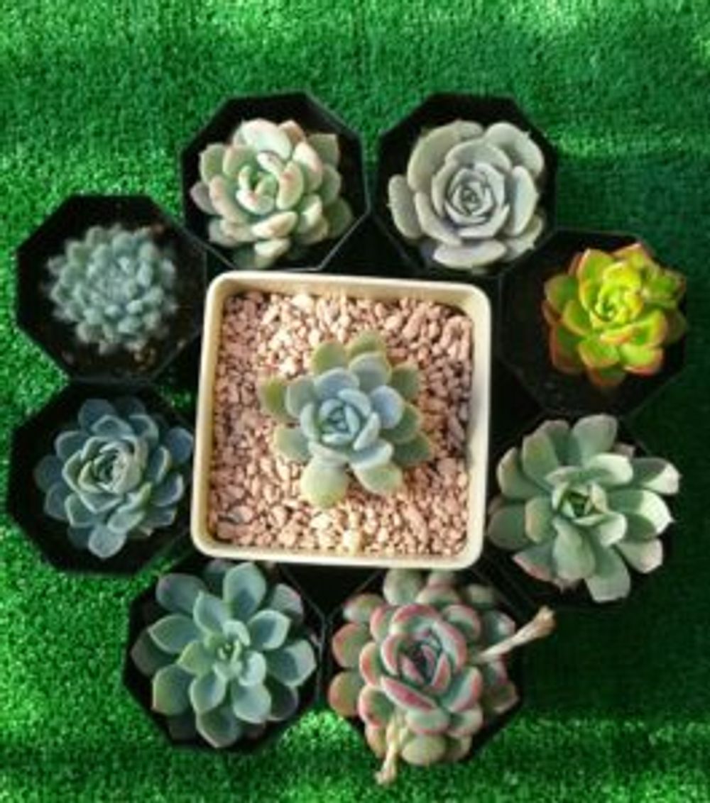 Photo by るいさん