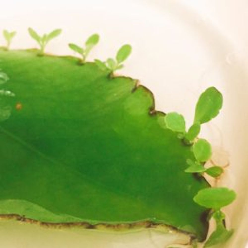 Photo by Ohba Chiseさん