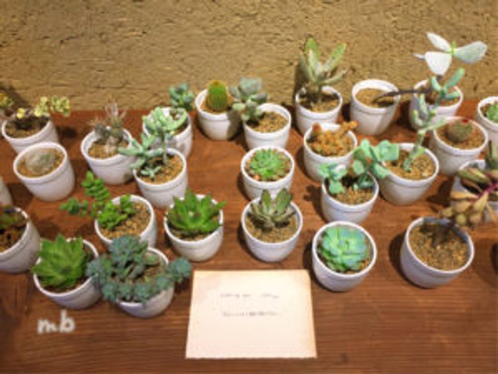 Photo by miibuさん