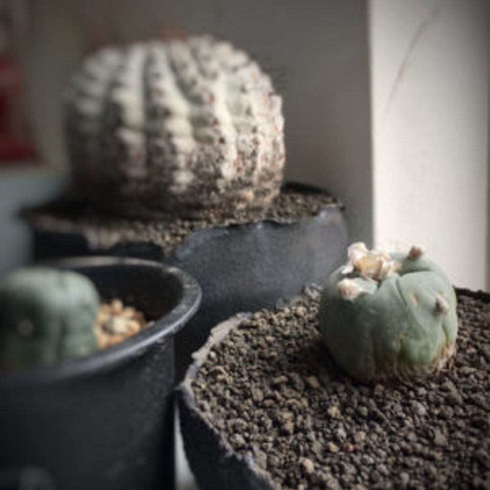 Photo by key4zoさん