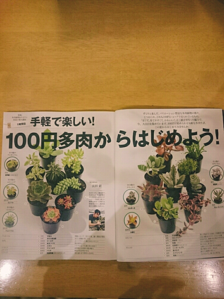 サボテンの知っておきたい種類一覧｜🍀GreenSnap（グリーンスナップ）