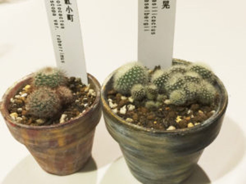 Photo by Je suis…さん