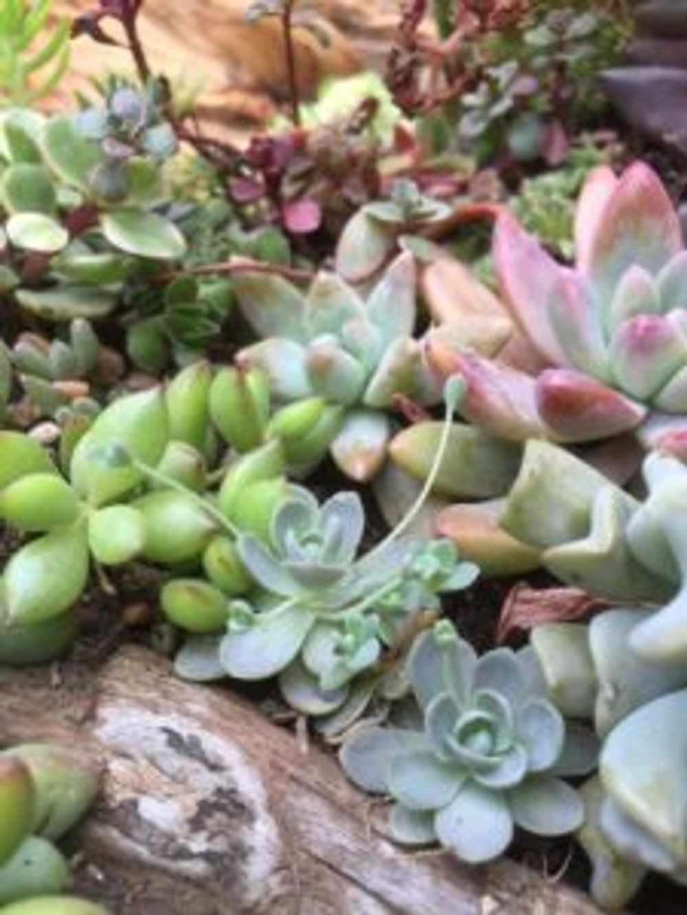 Photo by setstkoさん