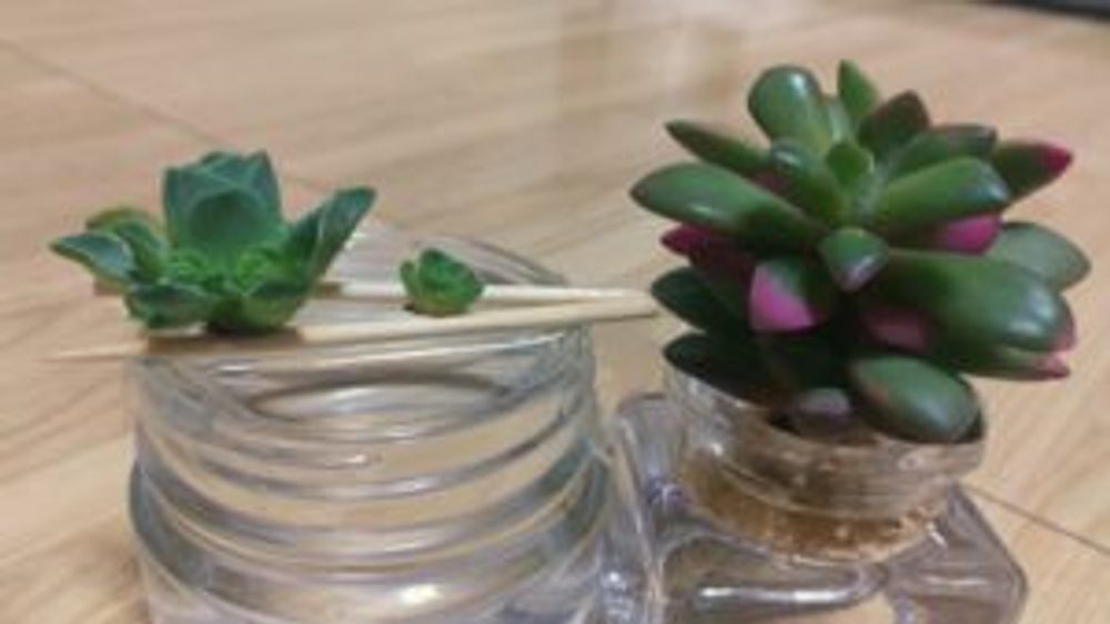 Photo by チャキ(๑❛ᴗ❛๑)さん