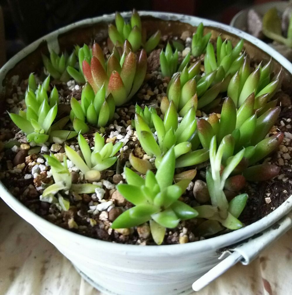 Photo by さゆりんさん