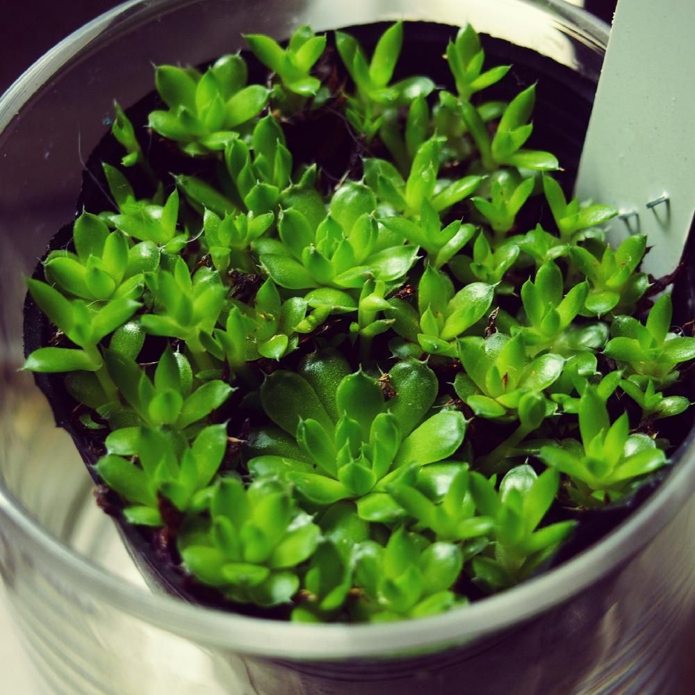 Photo by あなぐまさん