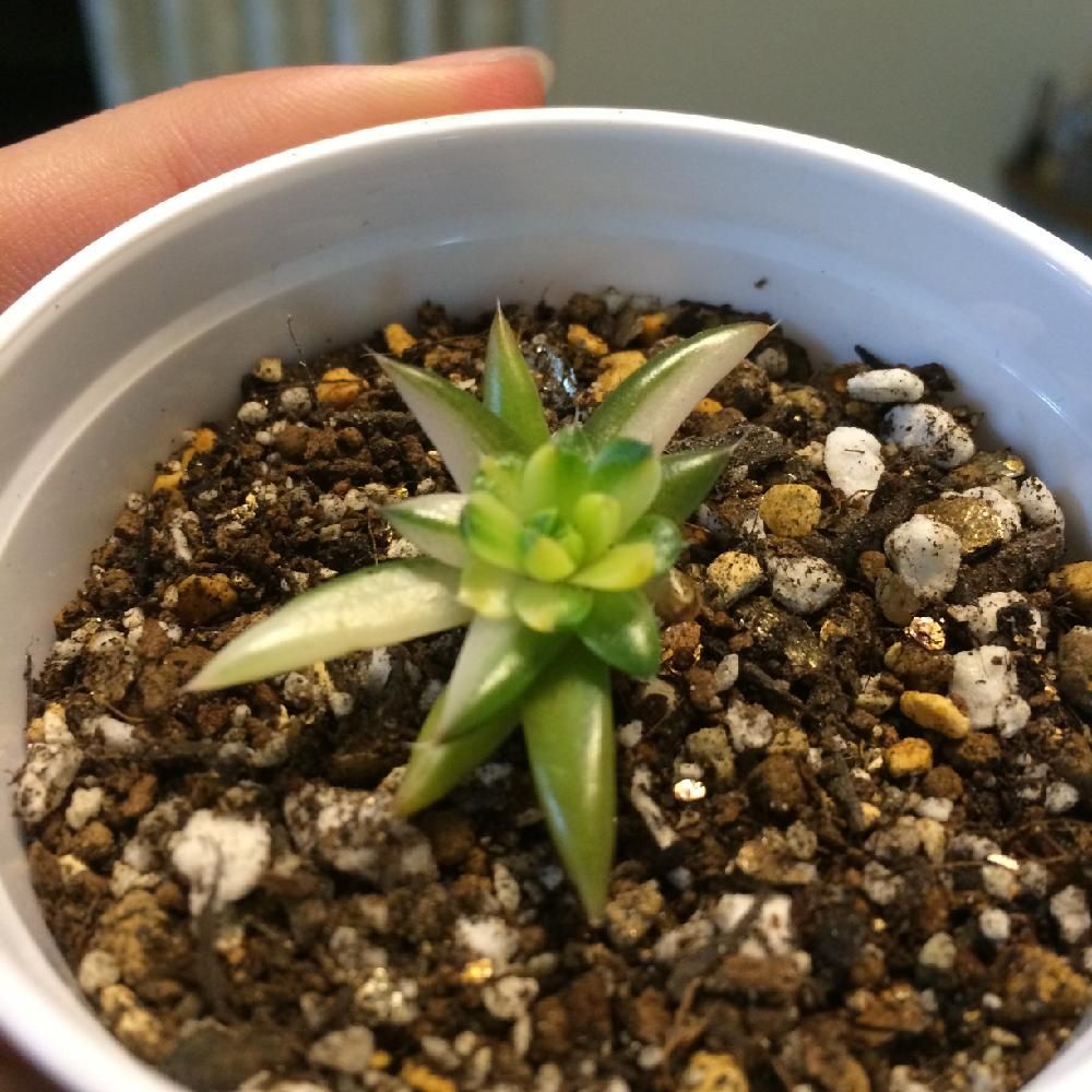 Photo by まいさん