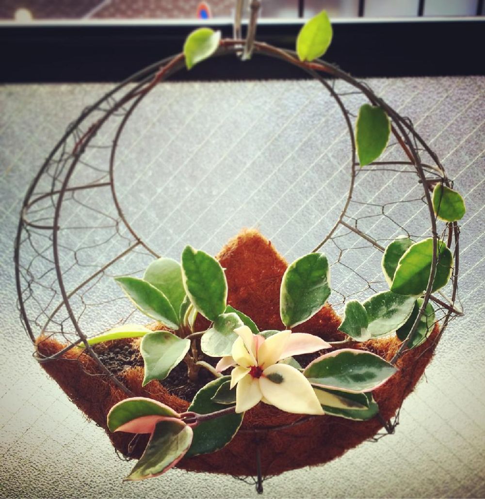 Photo by サヤさん