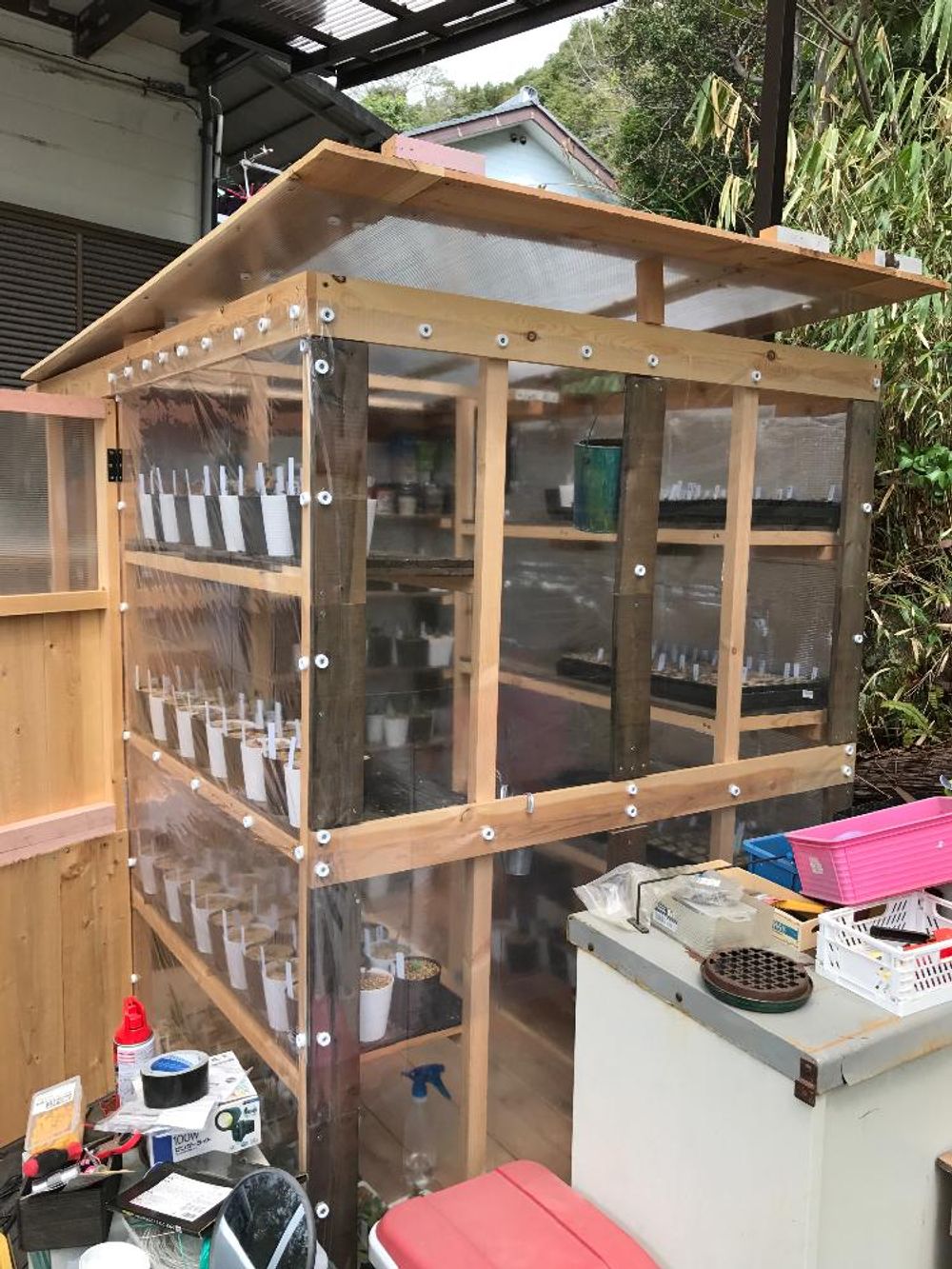 Photo by reateのパパさん