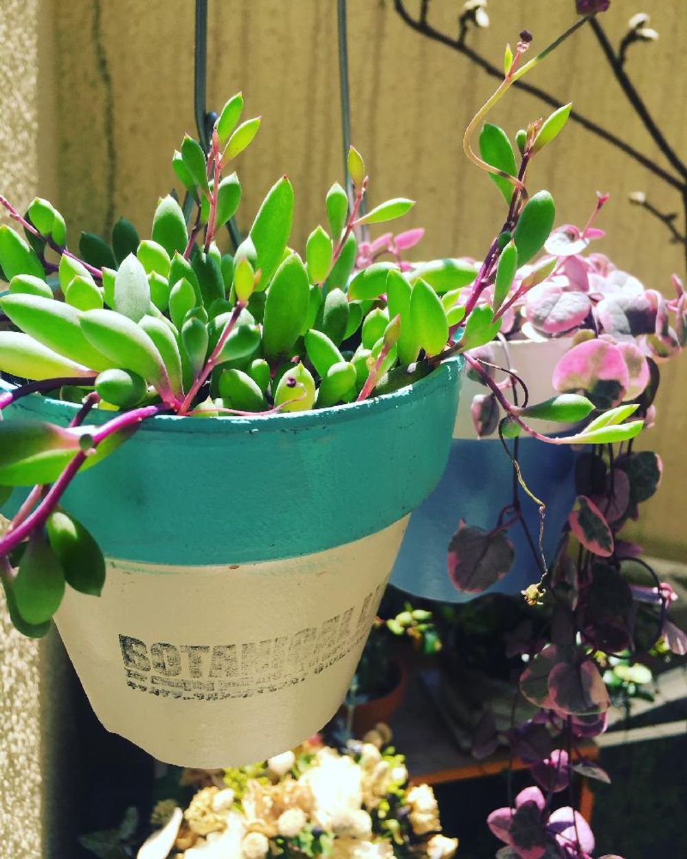 Photo by kaziochanさん