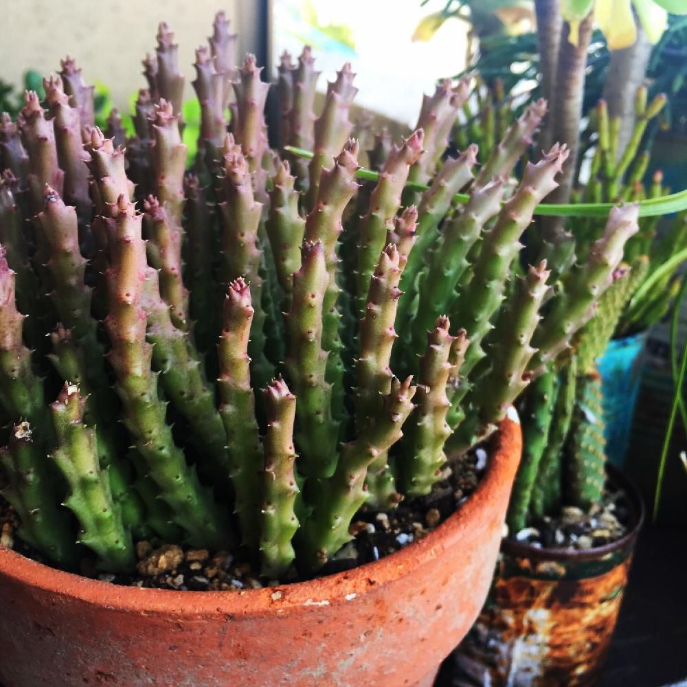 Photo by umi96さん