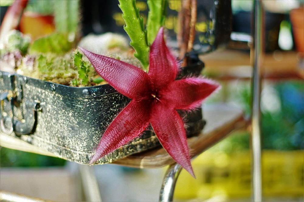 Photo by taiyo-020xoさん