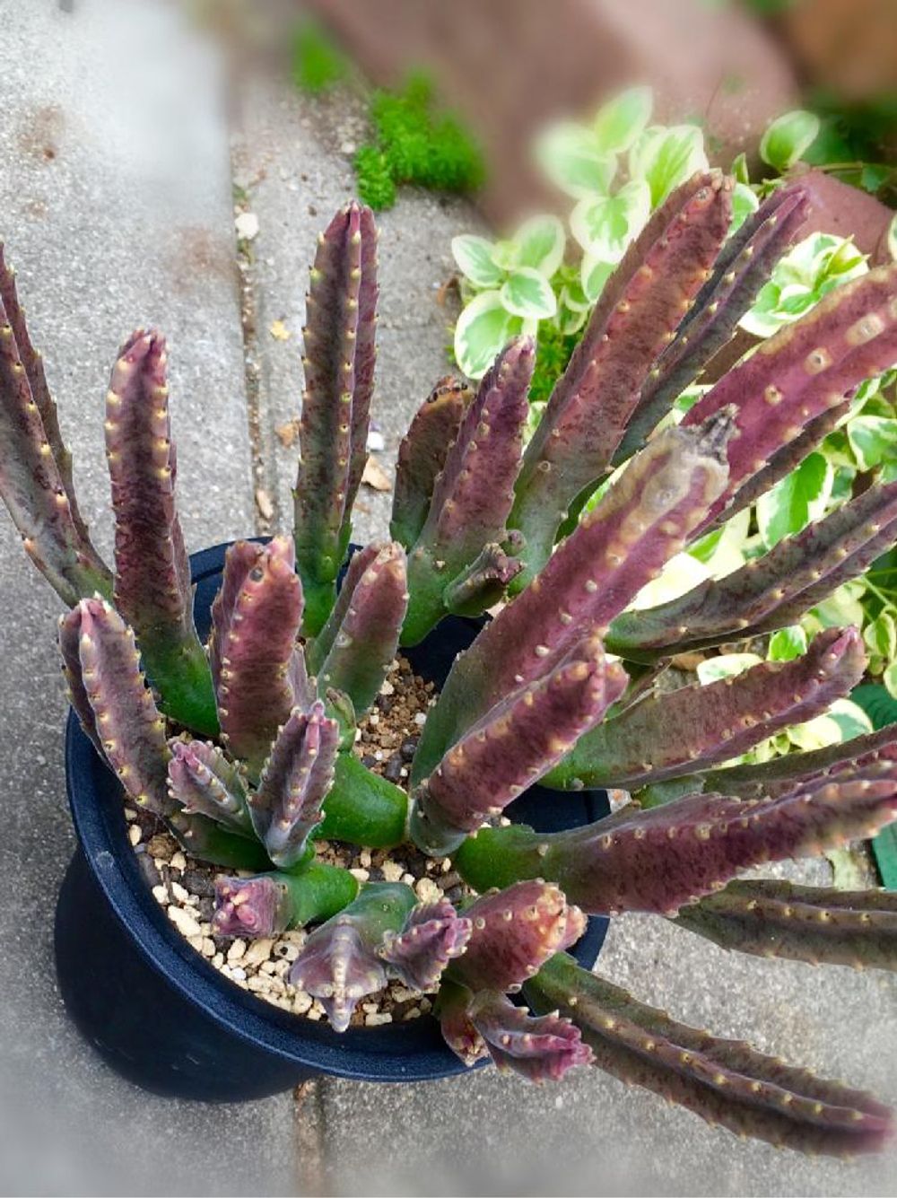 Photo by さっちゃんさん