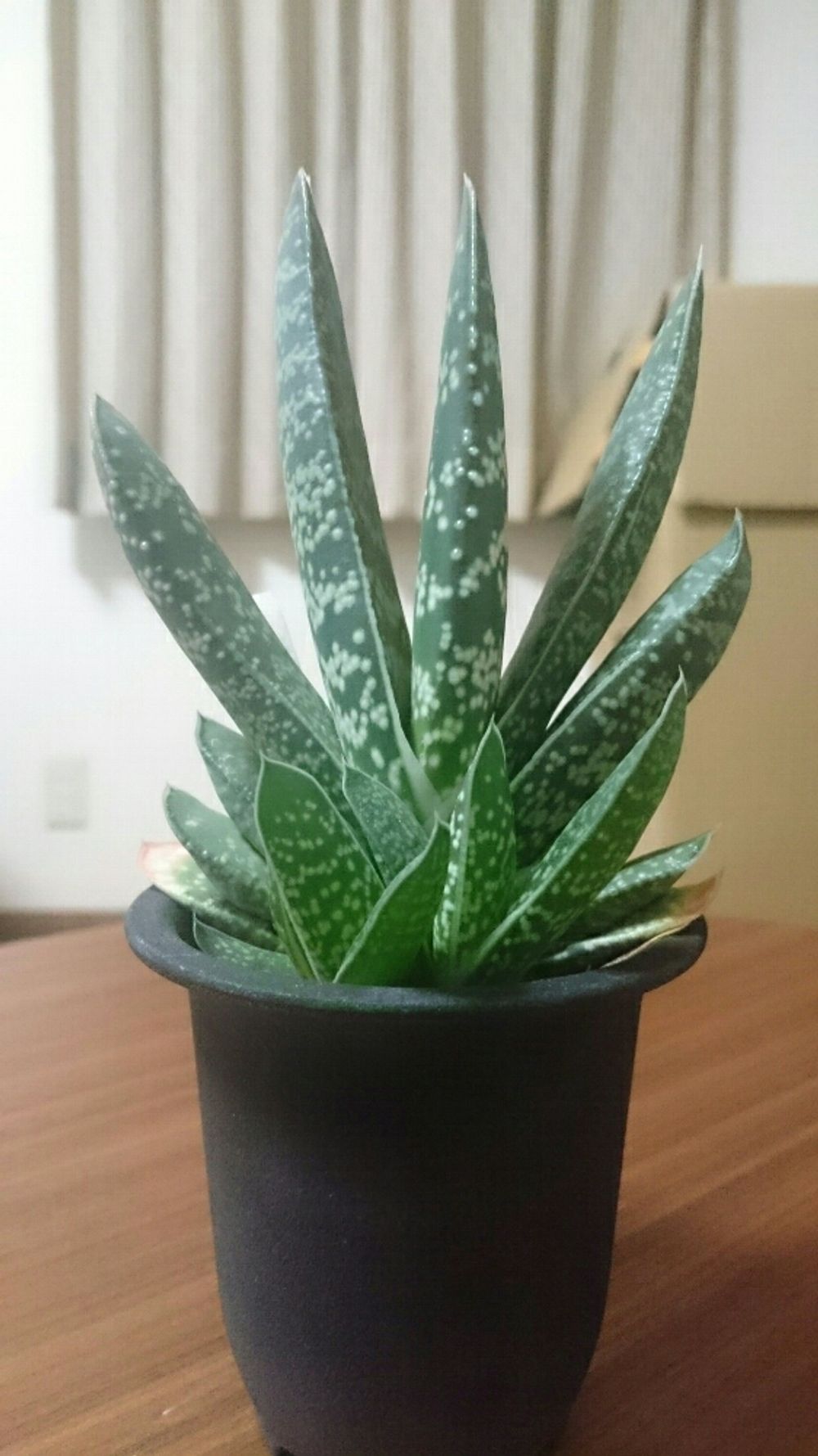 Photo by sword.tyさん