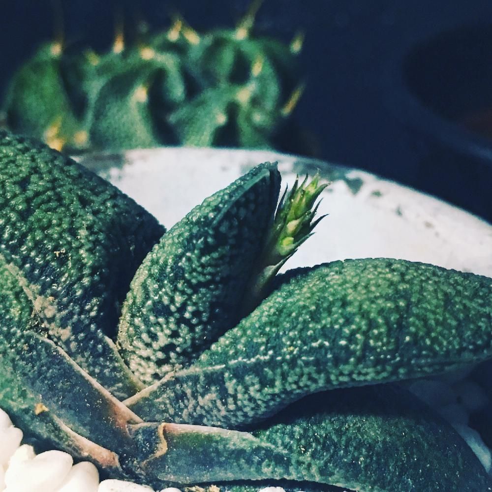 Photo by natunanaさん