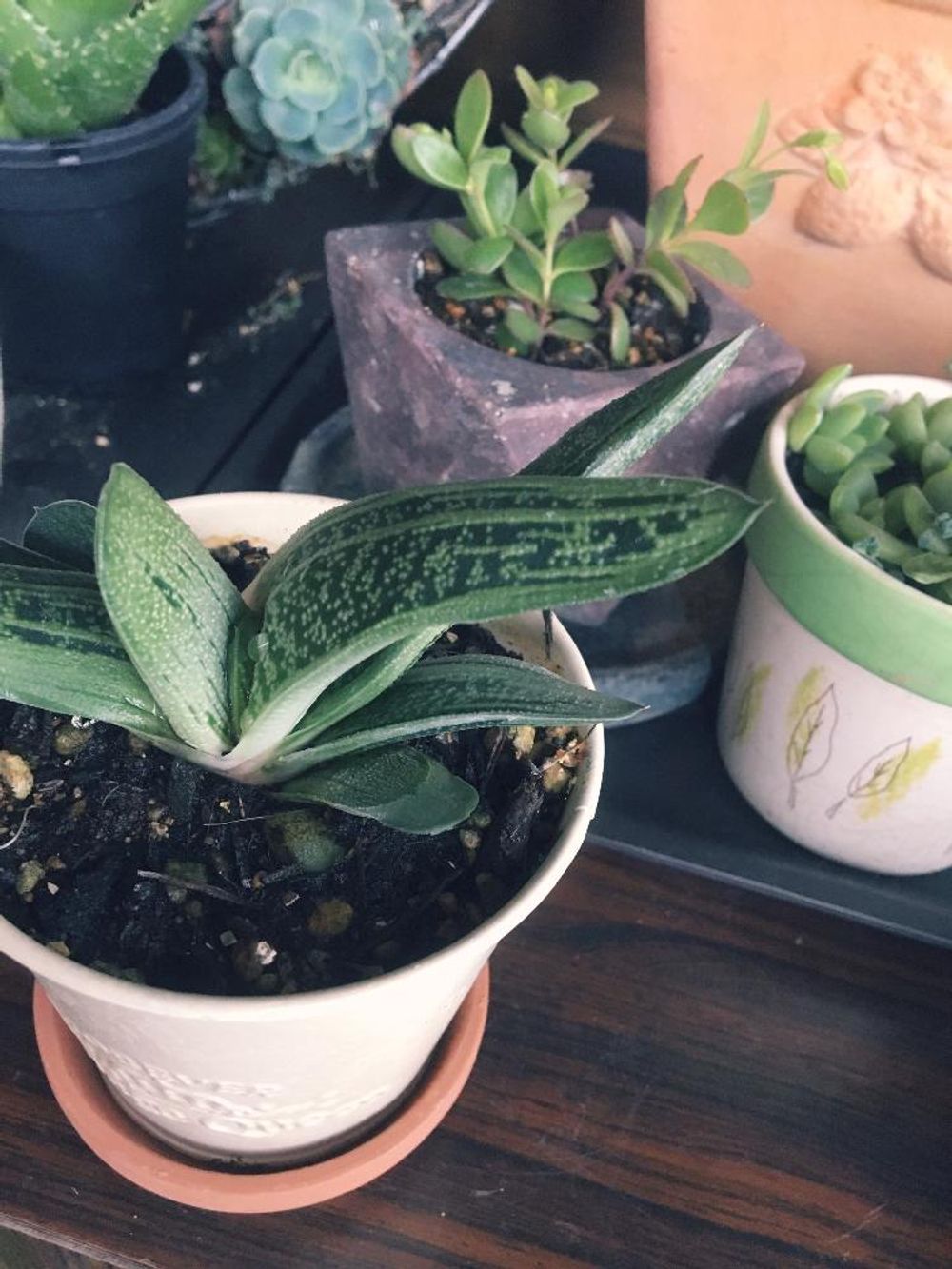 Photo by アガふさん