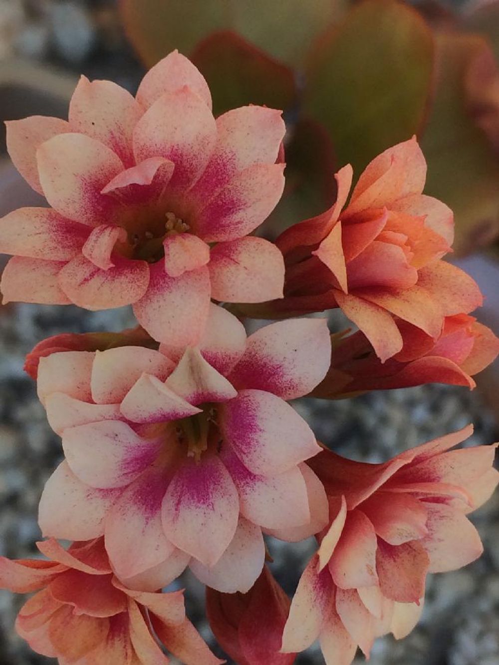 Photo by ☆のん☆さん