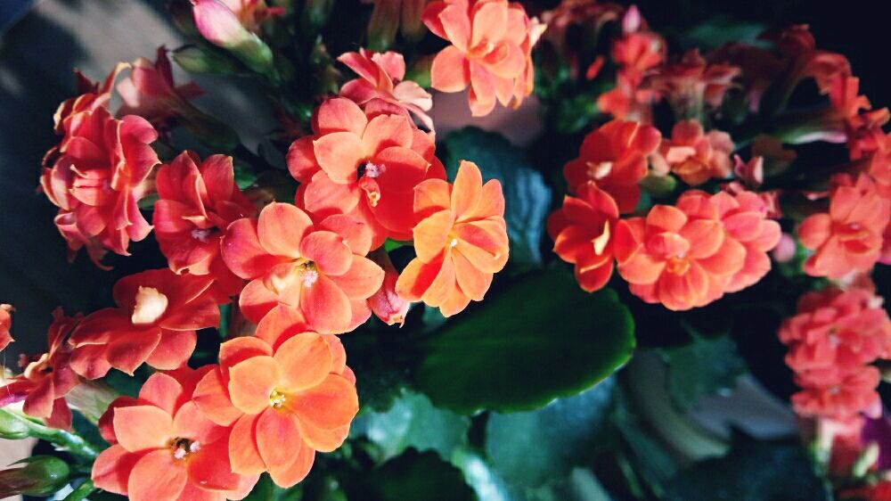 Photo by えれなえれなさん