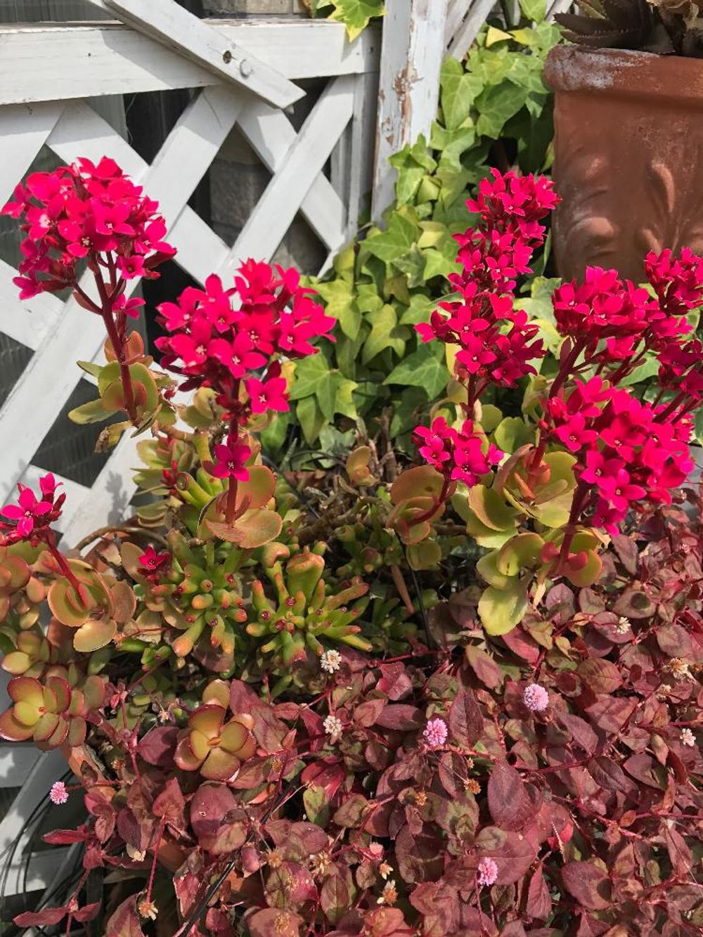 Photo by kimishigureさん