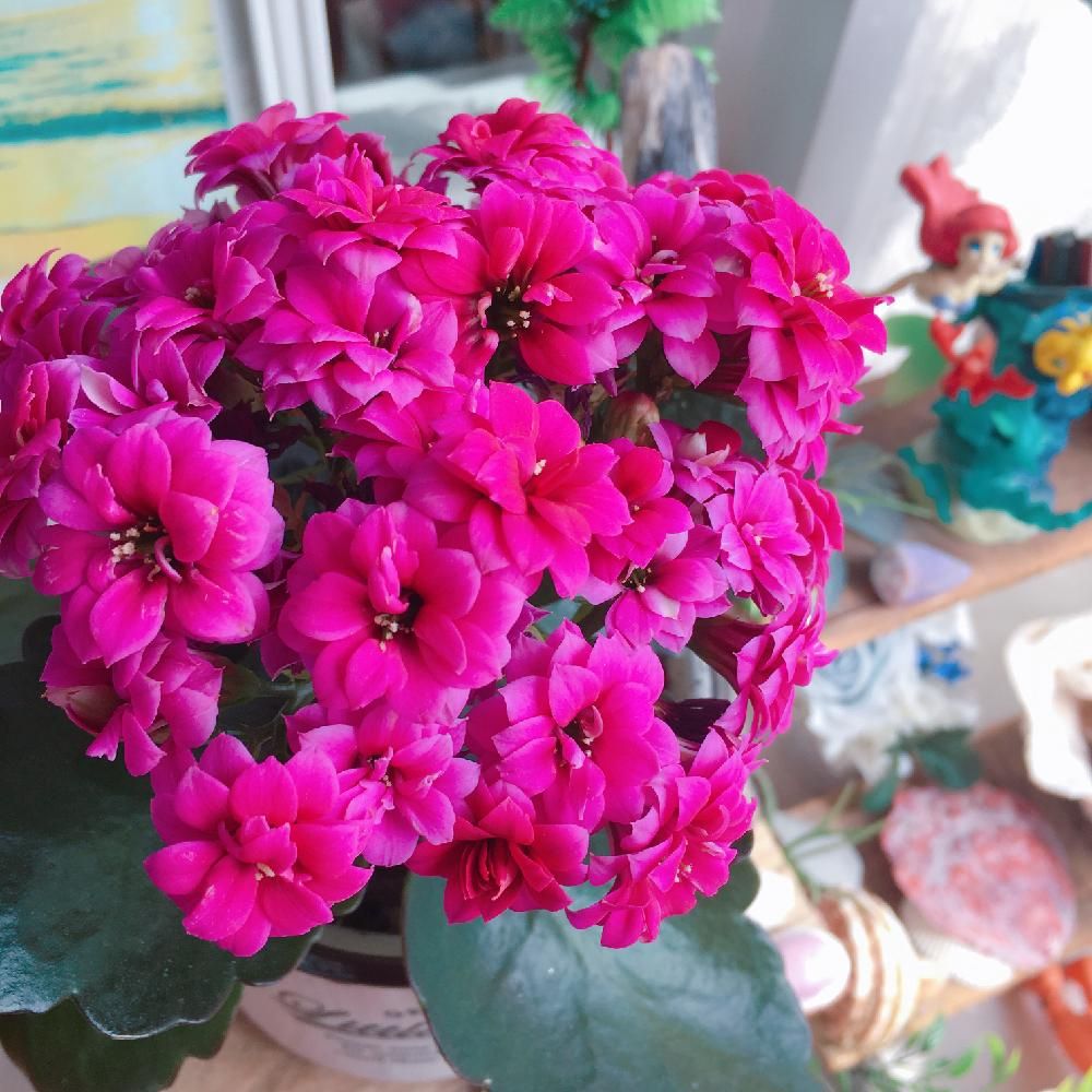 Photo by uoochan♡さん