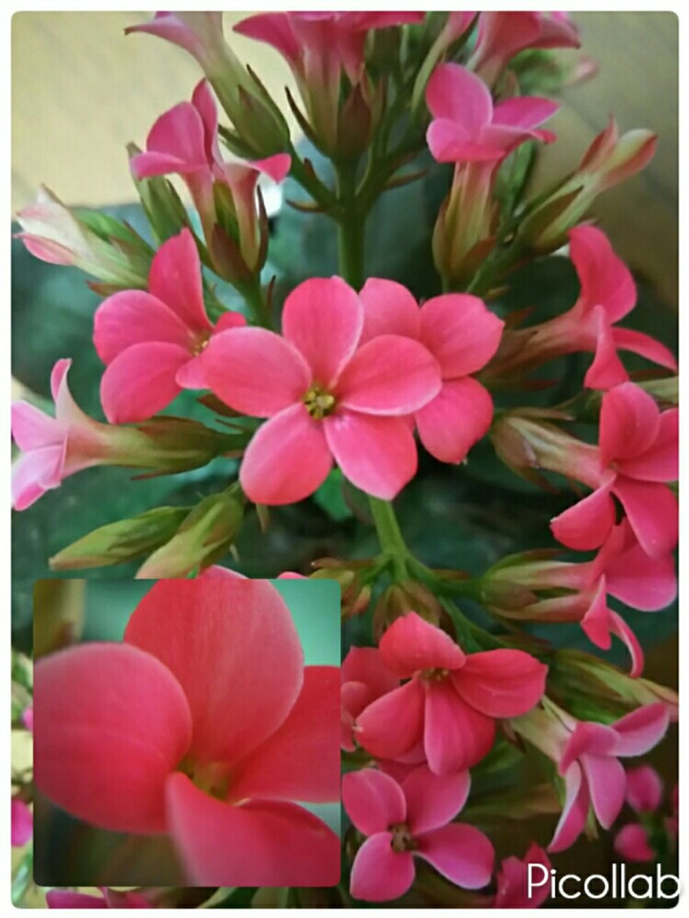 Photo by teruruさん