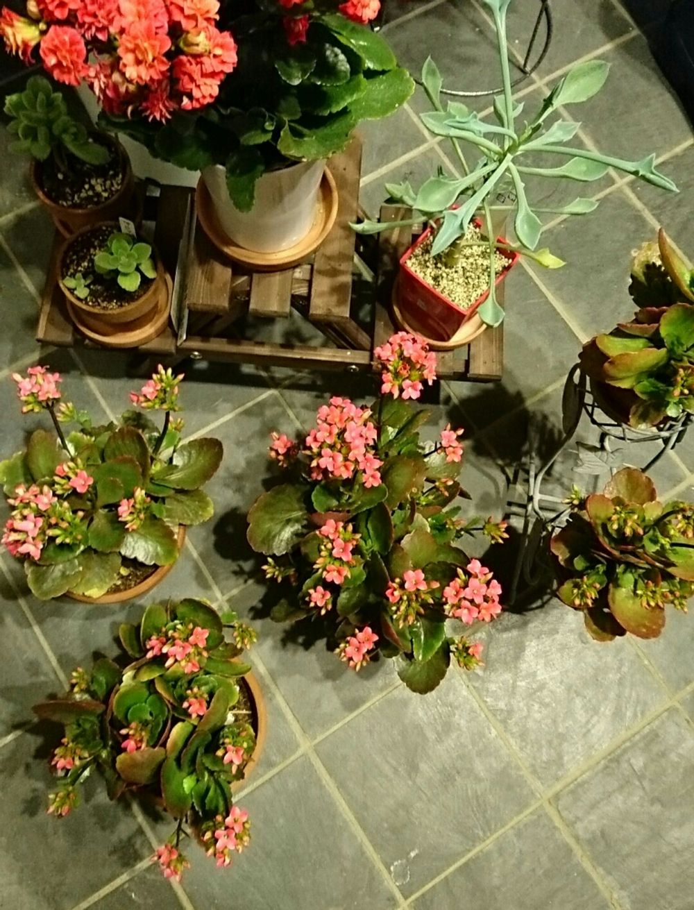 Photo by y.k mini tableさん