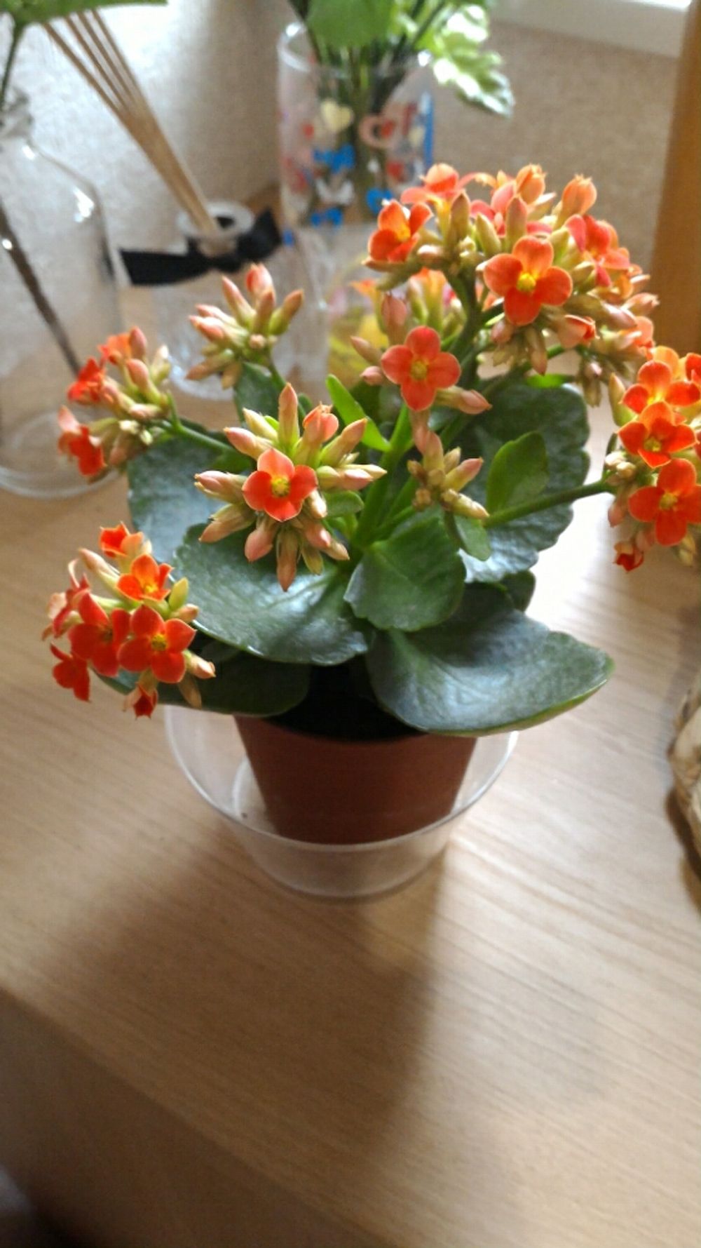 Photo by 裕子さん