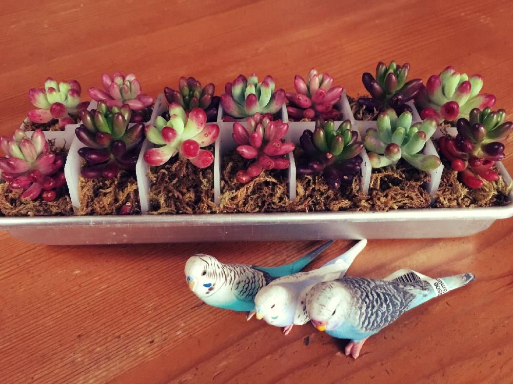 Photo by megumin♪さん