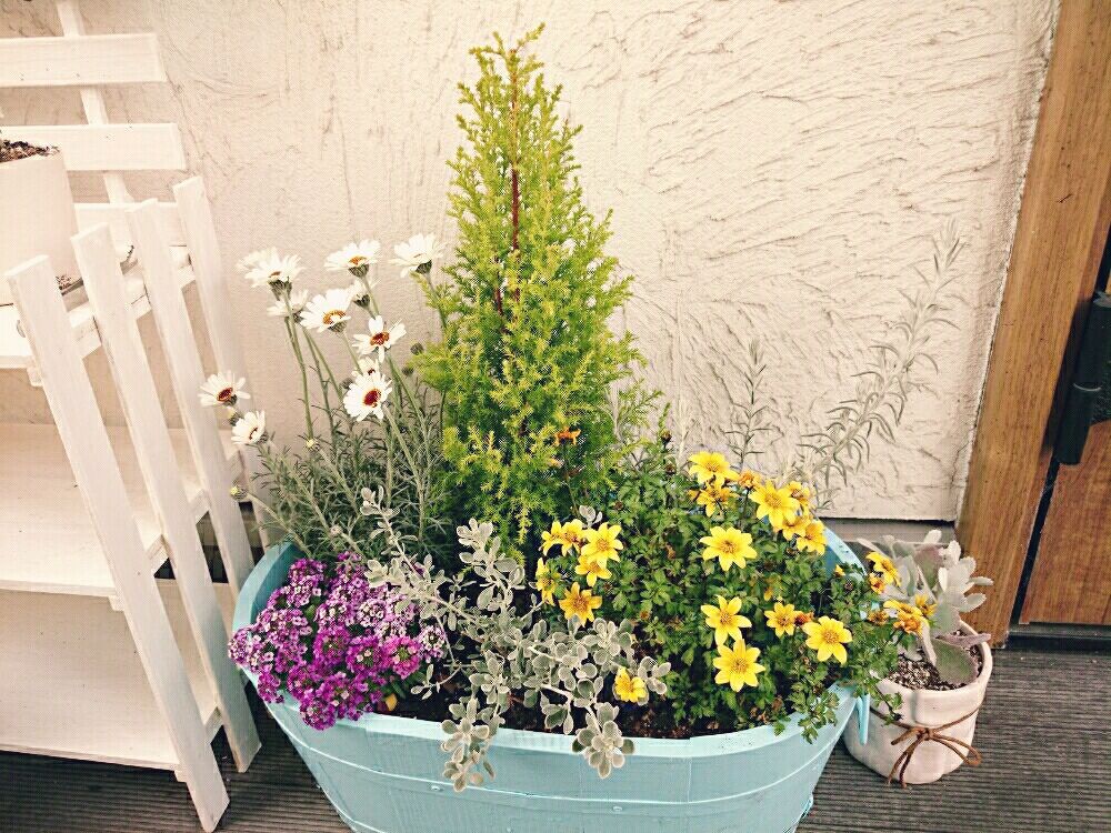 Photo by fuuumingさん