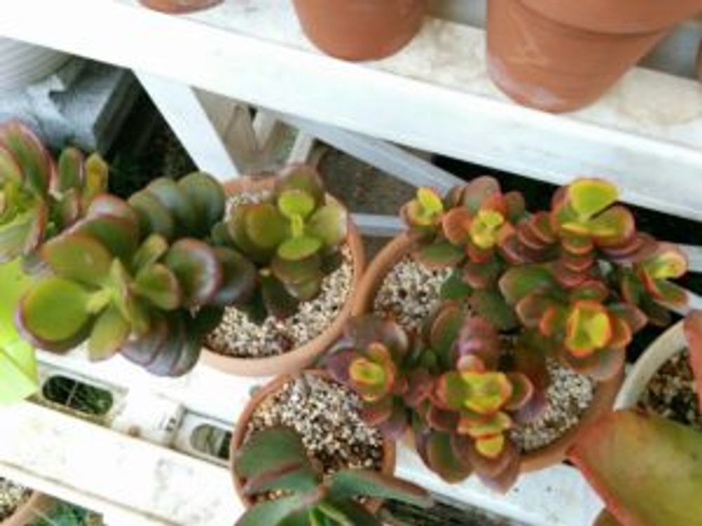 Photo by あおい32さん