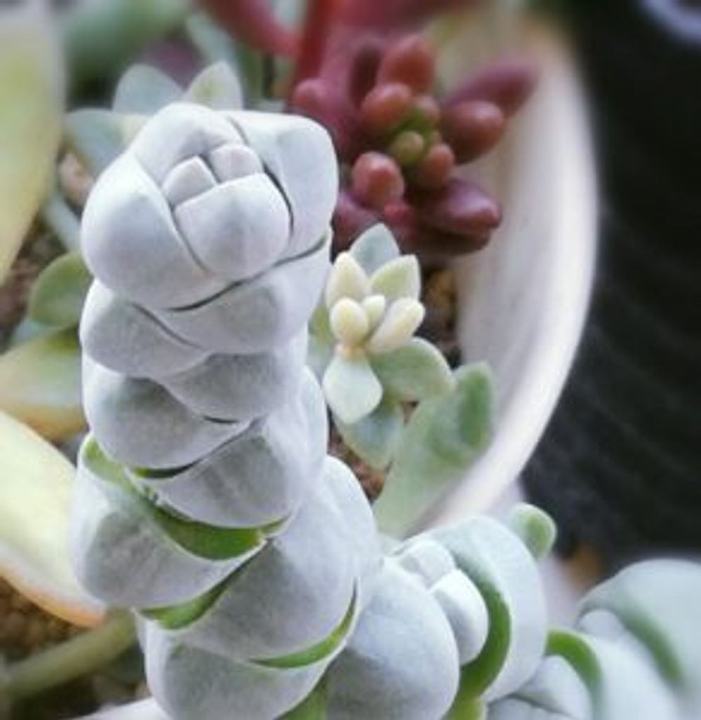 Photo by てつろうさん