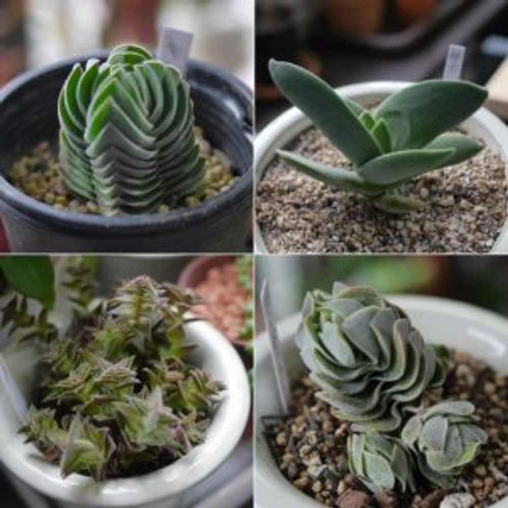 Photo by ヒロskmtさん