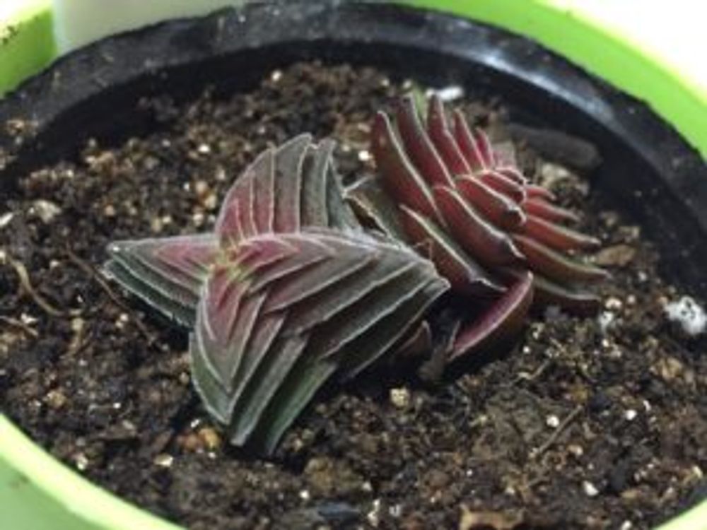 Photo by ユッキーさん