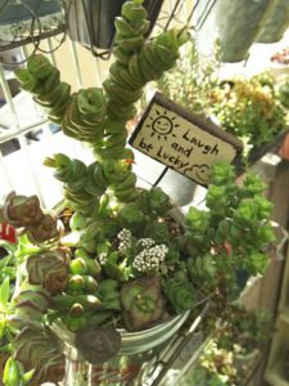 Photo by さゆりんさん