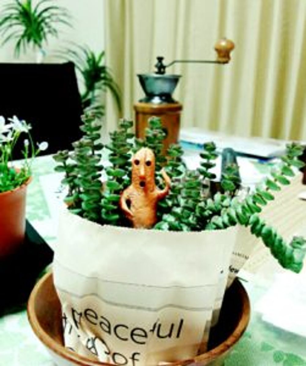 Photo by もりにゃごさん