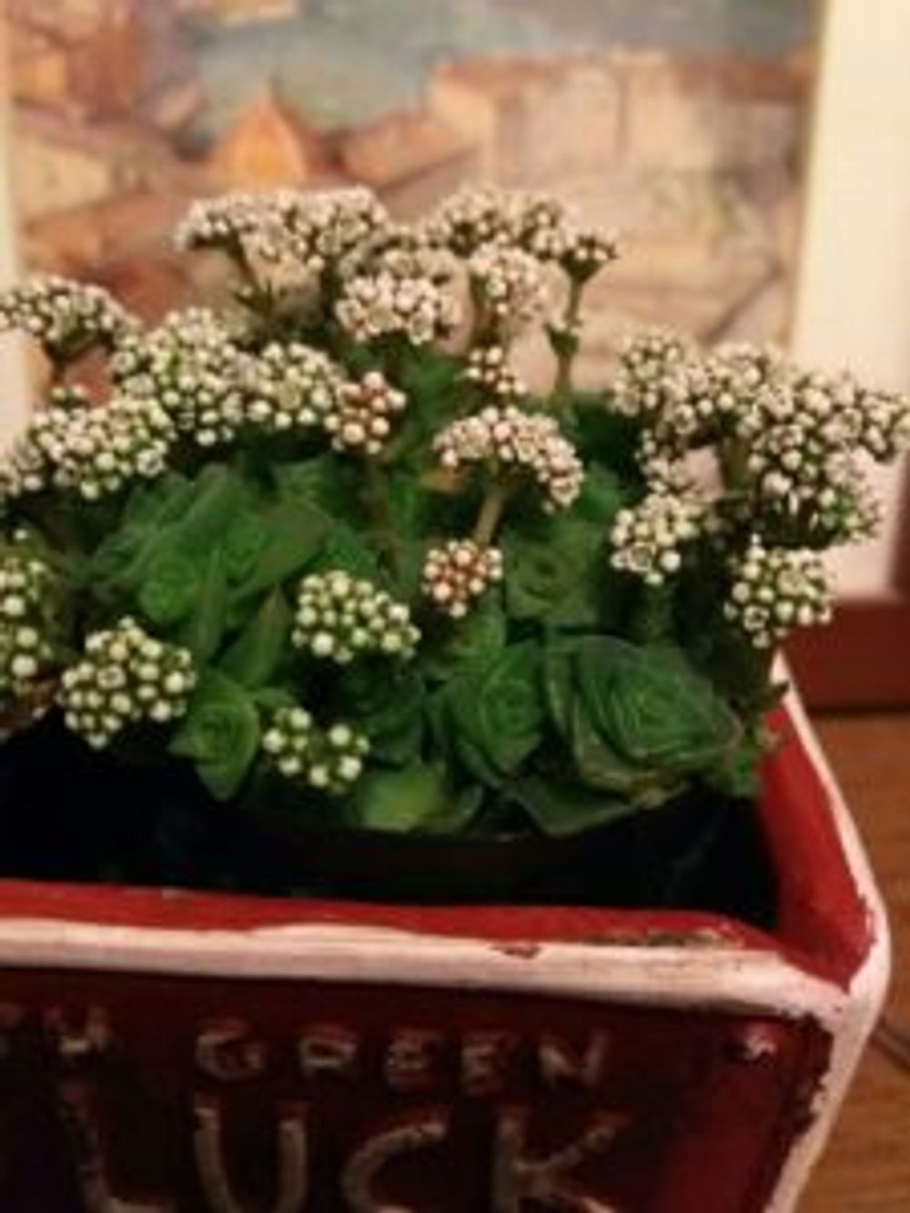 Photo by さゆりんさん