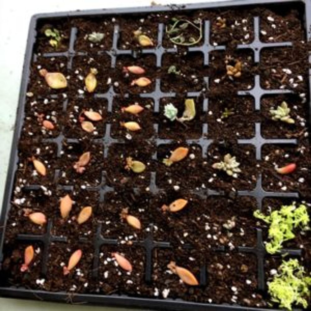 Photo by ふーこさん