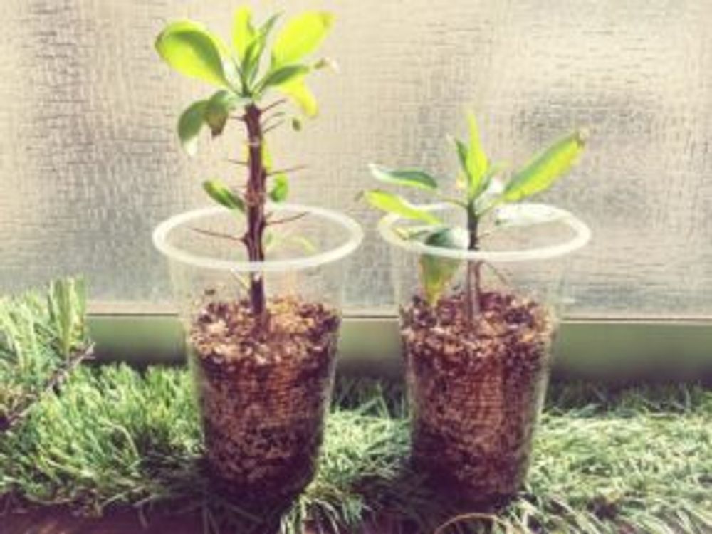 Photo by じるさん