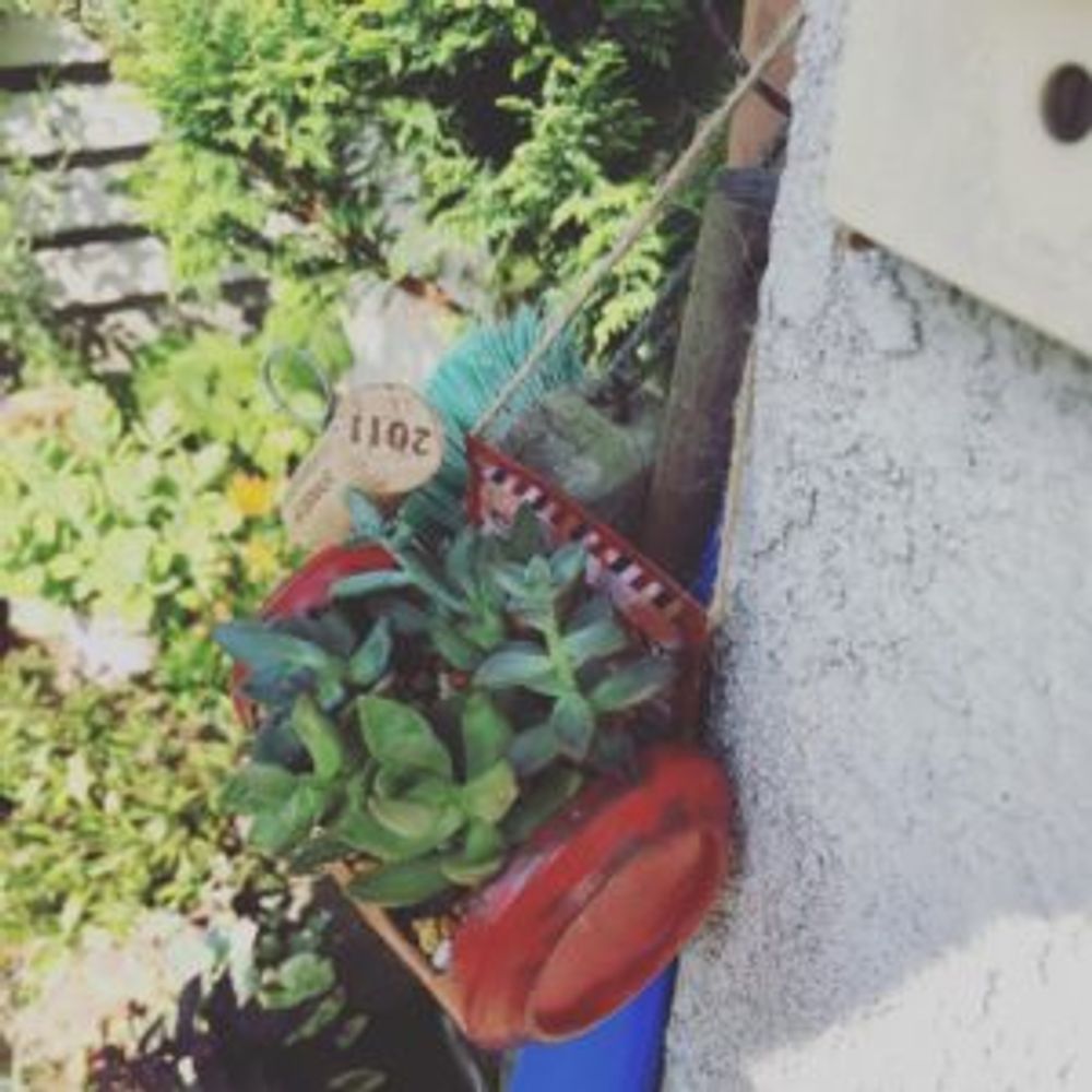 Photo by ゆきへえさん