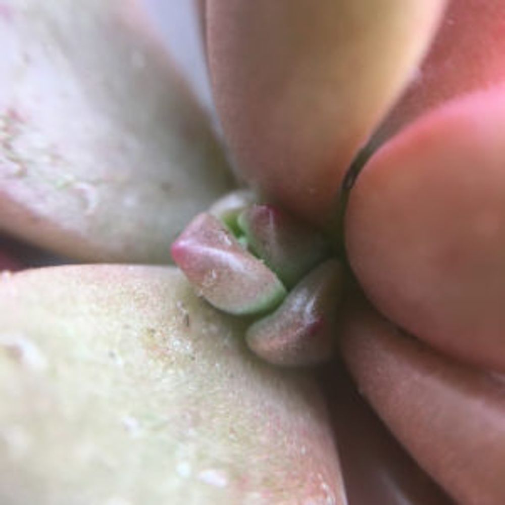 Photo by ちゃいさん