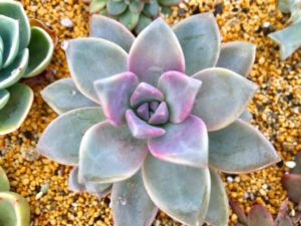 Photo by いち.ichiさん