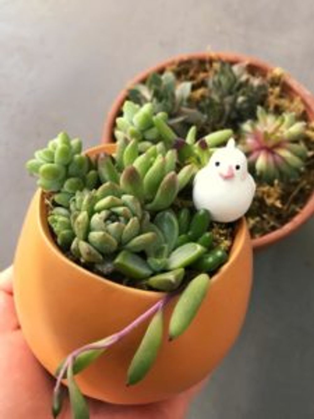 Photo by おくさん