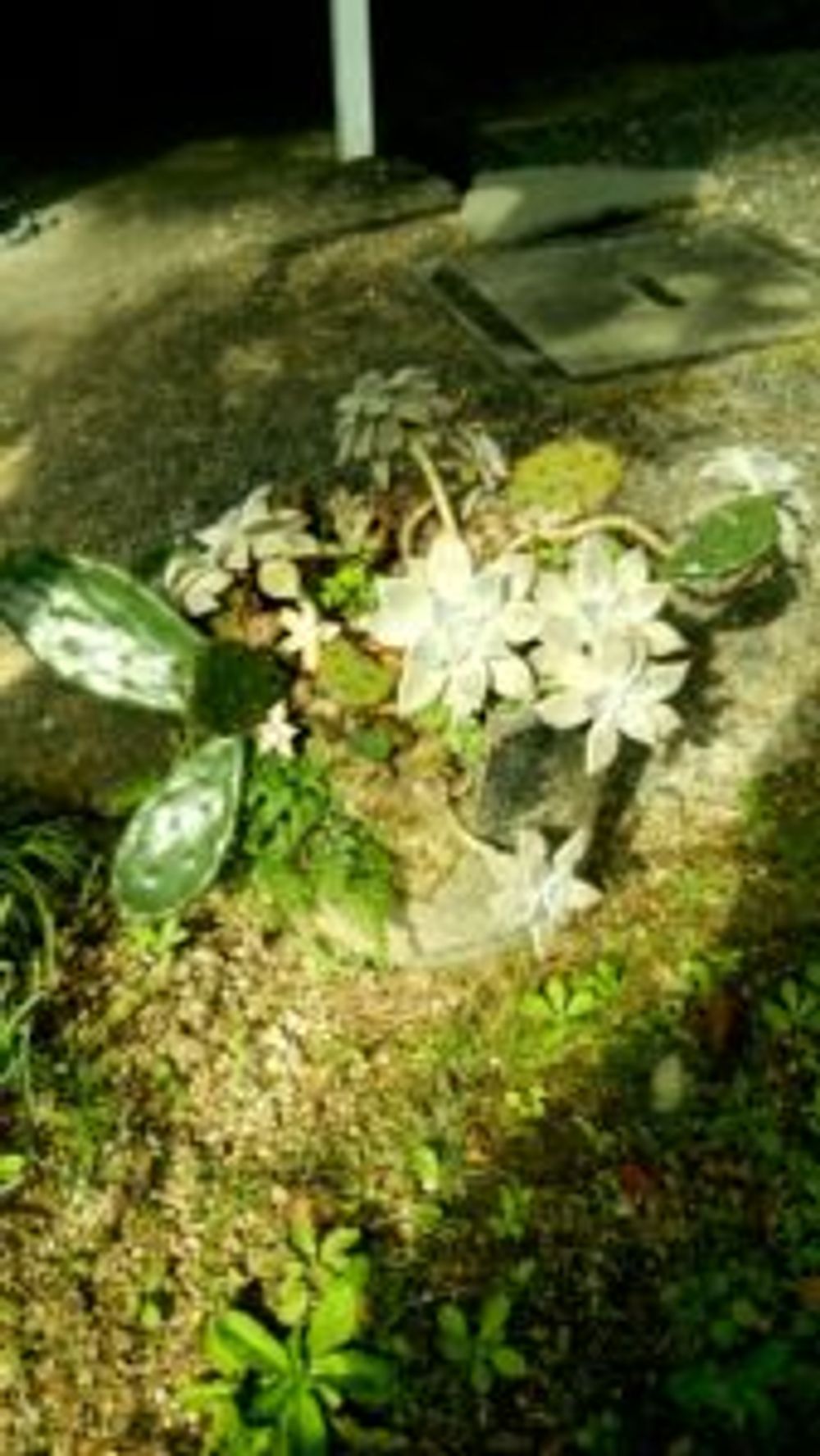 Photo by じゅんしょうさん