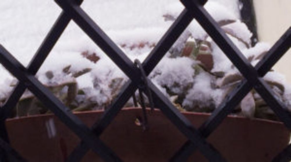 Photo by べんきちくんさん