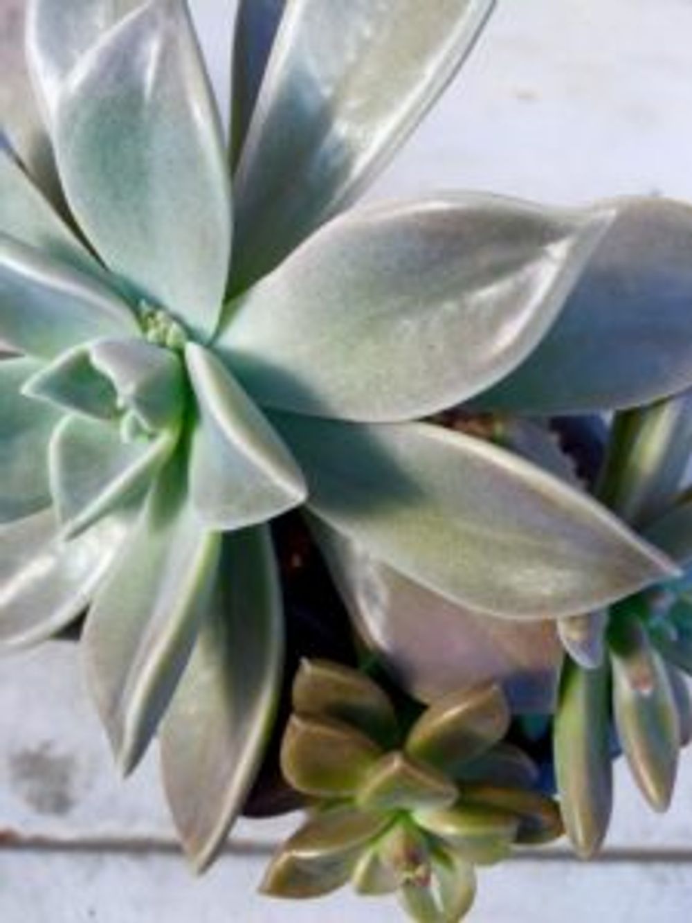 Photo by miu☺︎miuさん