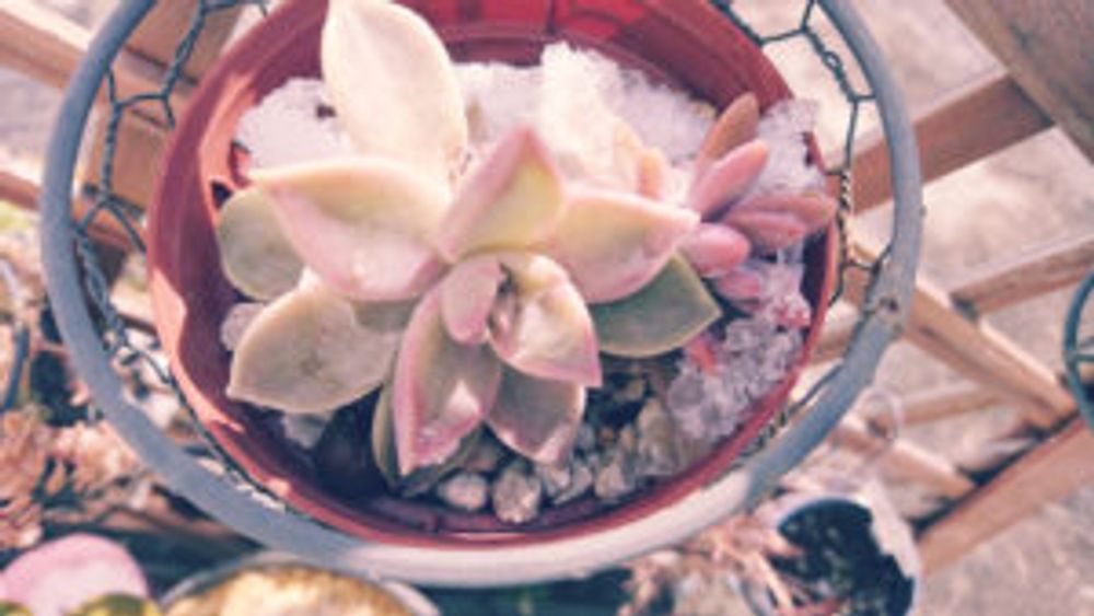 Photo by ta29まだまだ初心者 さん