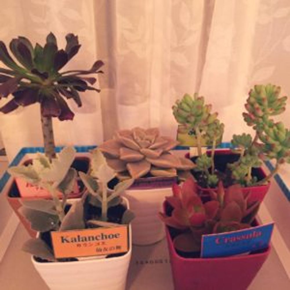 Photo by うにもこさん