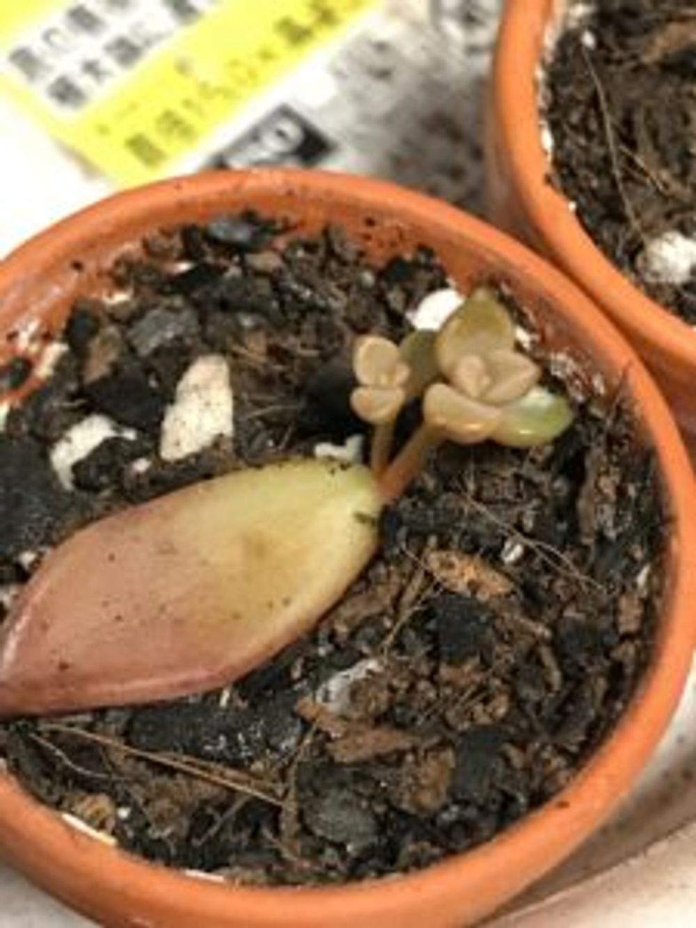 Photo by えむさん