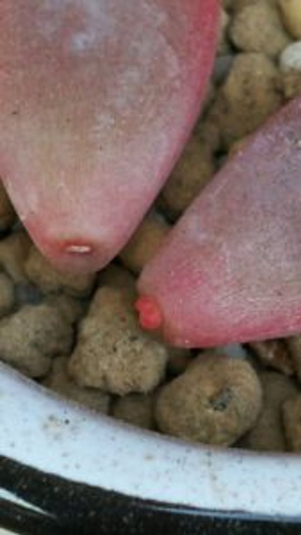 Photo by のえるさん