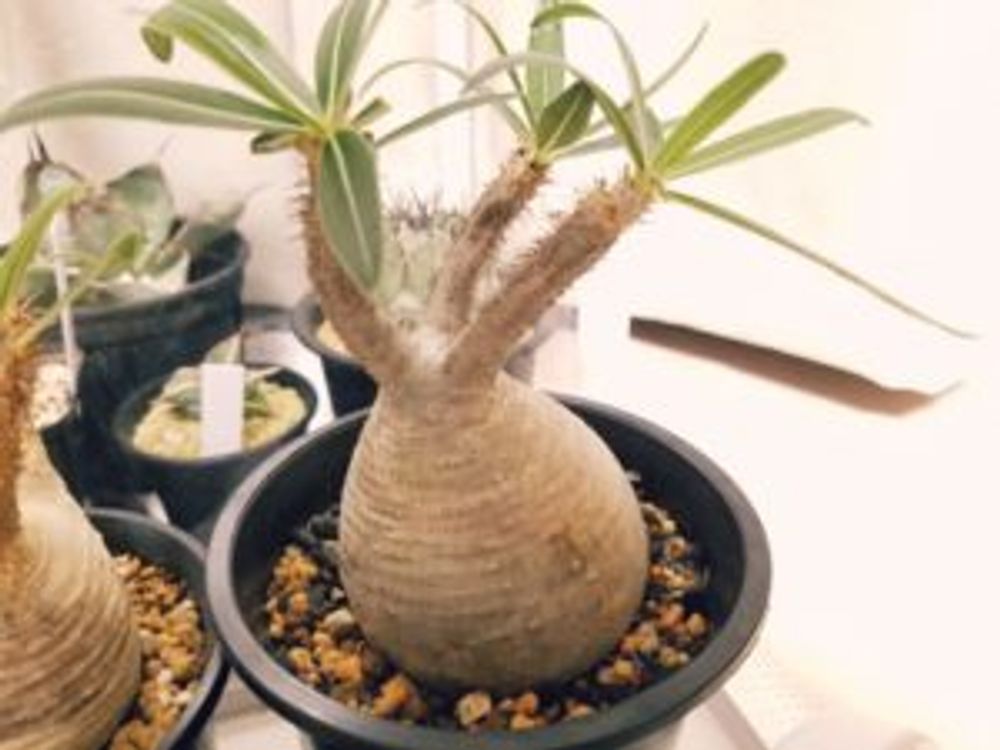 Photo by やっちさん